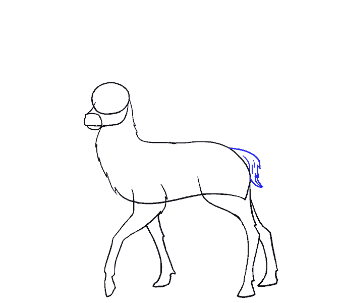 678x600 How To Draw A Deer In A Few Easy Steps Easy Drawing Guides - Deer Drawing Easy