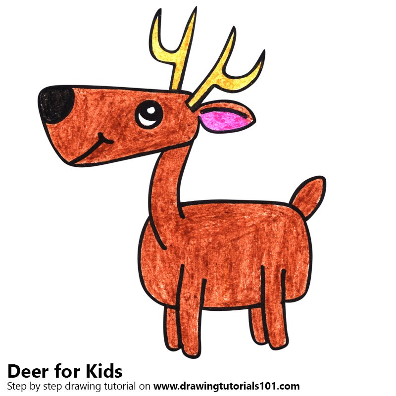 800x800 Learn How To Draw A Deer For Kids - Deer Drawing Easy