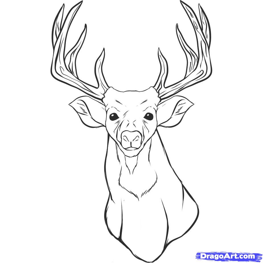 924x924 How To Draw An Easy Reindeer - Deer Drawing Easy