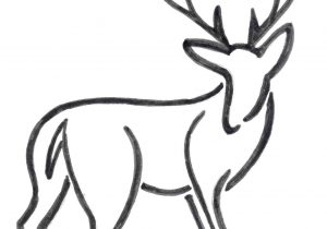 300x210 Simple Deer Drawing - Deer Drawing Easy