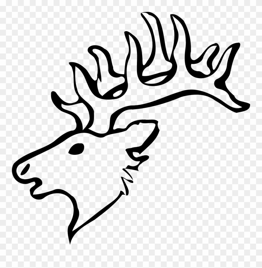 880x902 Elk White Tailed Deer Moose Drawing - Deer Drawing Easy