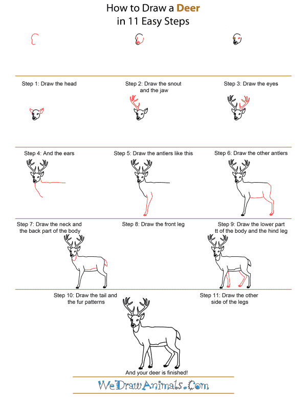 600x776 How To Draw A Deer - Deer Drawing For Kids