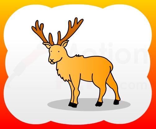 503x415 How To Draw Deer For Kids - Deer Drawing For Kids
