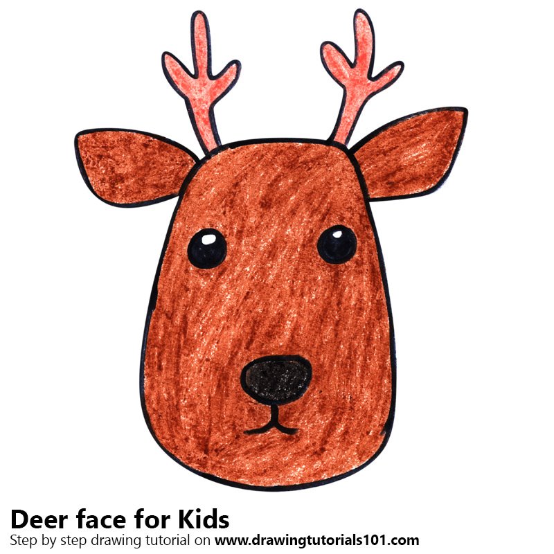 800x800 Learn How To Draw A Deer Face For Kids - Deer Drawing For Kids