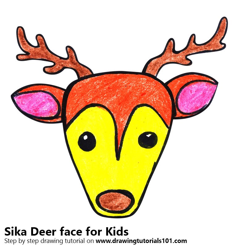800x800 Learn How To Draw A Sika Deer Face For Kids - Deer Drawing For Kids