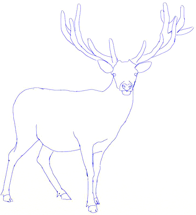 400x440 How To Draw A Deer - Deer Drawing Images
