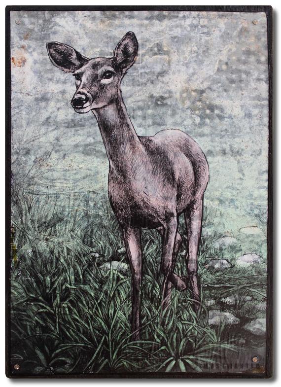 570x785 doe whitetail deer colored pencil drawing artwork transfer etsy - Deer Drawing Pics