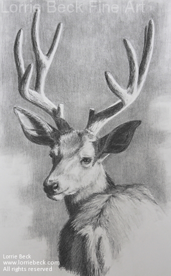 340x550 lorrie beck - Deer Drawing Pics