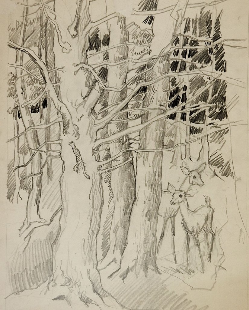 825x1024 pencil study of deer in forest drawing artifax antiques design - Deer Drawing Pics