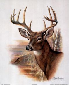 236x292 Deer Artwork - Deer Drawing Pics