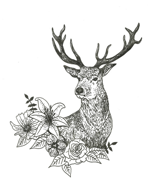 500x636 Drawing Deer Tumblr Shared - Deer Drawing Pics