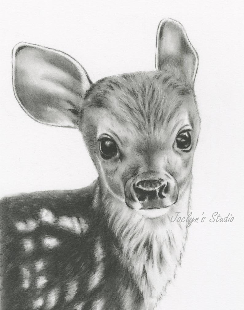 794x1008 Charcoal Drawing Giclee Print Deer Drawing Etsy - Deer Drawing Pics