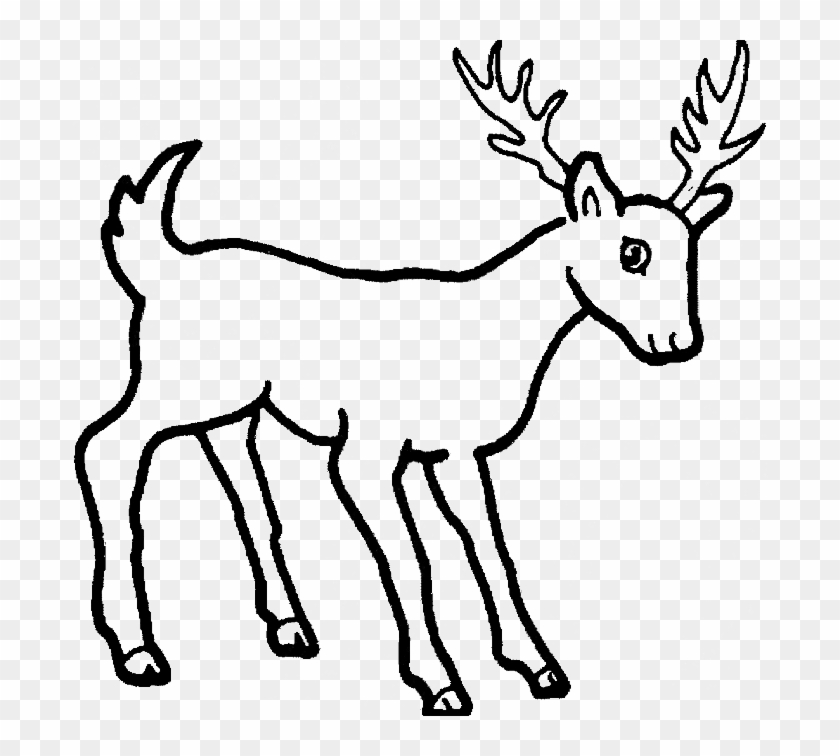 840x756 Deer Coloring Page - Deer Drawing Pics