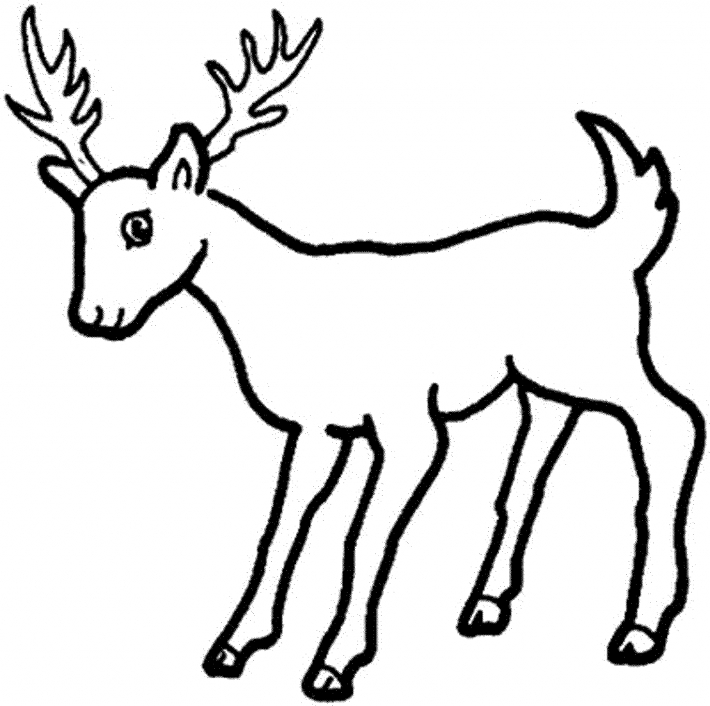 1024x1018 Deer Drawing Easy Deer Drawing Stepstep At Getdrawings Free - Deer Drawing Step By Step