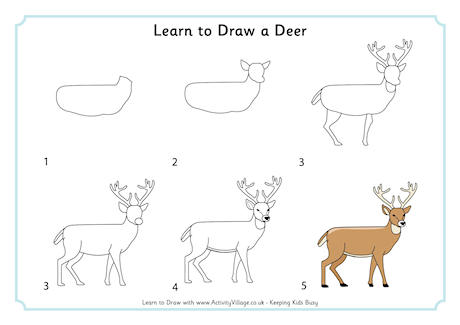 460x325 Learn To Draw Animals - Deer Drawing Step By Step