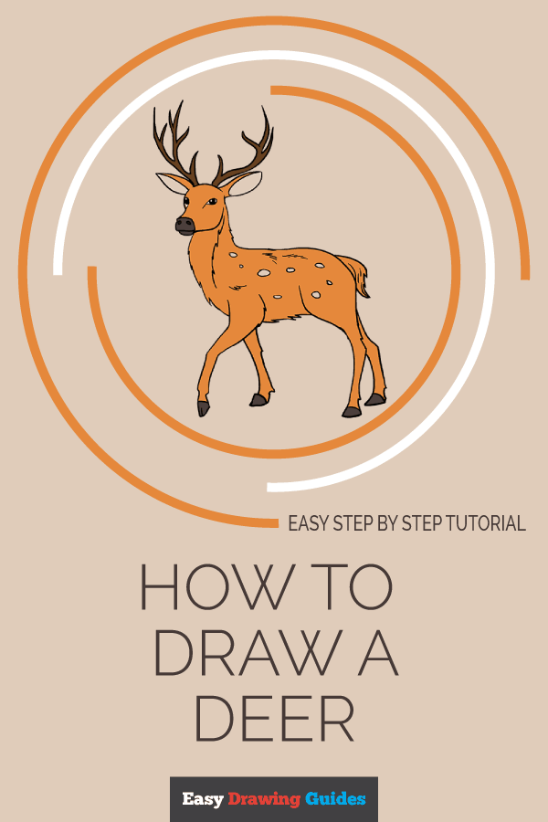 600x900 How To Draw A Deer In A Few Easy Steps Easy Drawing Guides - Deer Drawing Tutorial