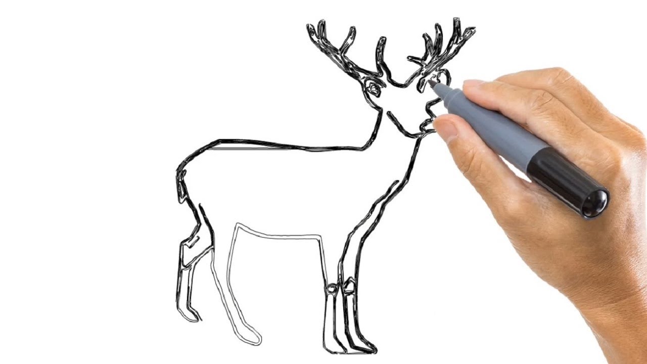 1280x720 Arts For Kids How To Draw A Deer Simple Drawing Tutorial - Deer Drawing Tutorial