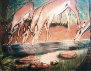 300x233 deer drinking water art - Deer Drinking Water Drawing