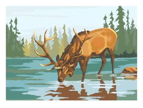 473x355 stag drinking water prints - Deer Drinking Water Drawing