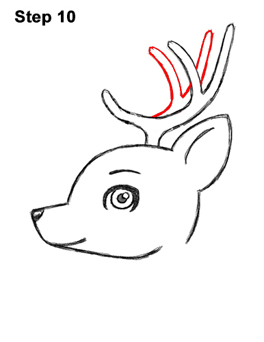 386x500 How To Draw A Deer - Deer Eyes Drawing