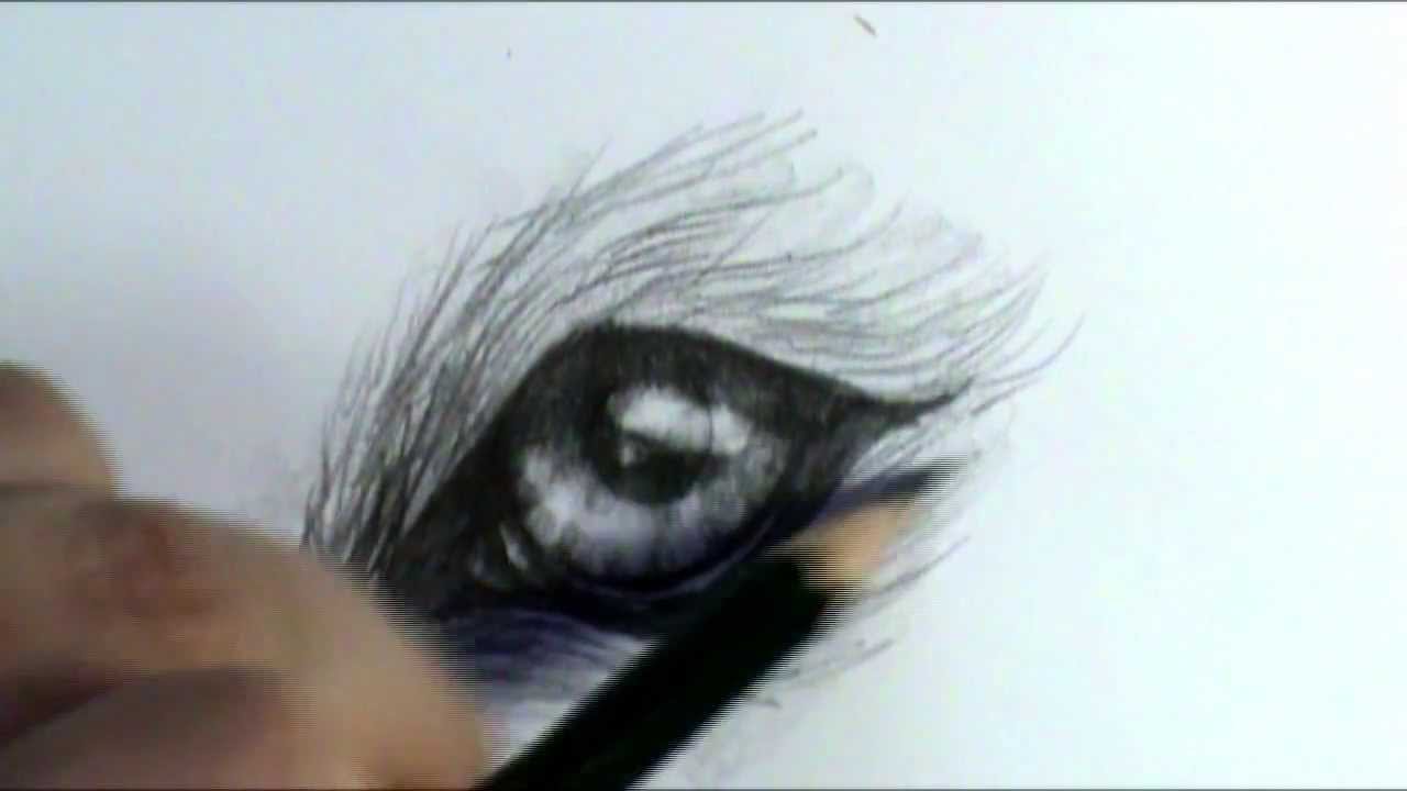 1280x720 How To Draw A Wolf Eye - Deer Eyes Drawing