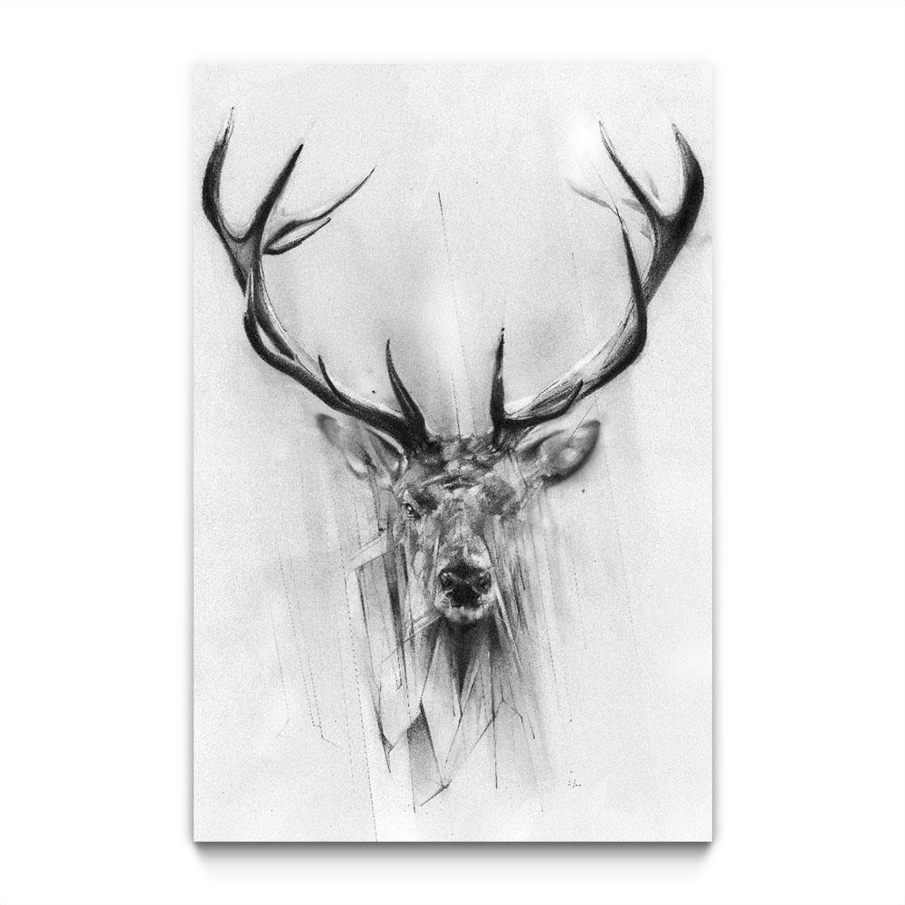 1000x1000 Red Deer - Deer Eyes Drawing