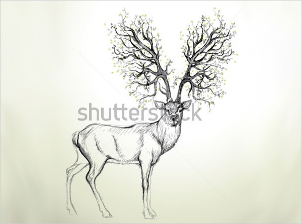 600x446 Free Deer Drawings Designs Free Premium Templates - Deer Eyes Drawing