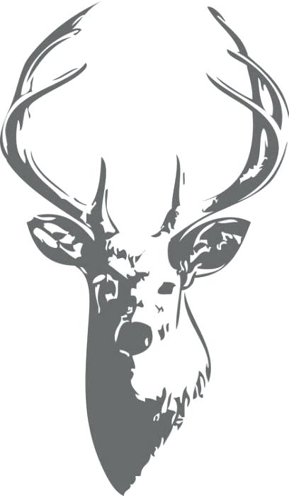 408x700 How To Draw A Deer With To Make Astounding How To Draw Cartoon - Deer Face Drawing
