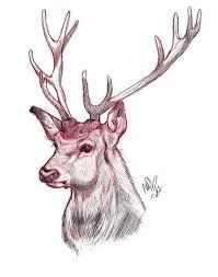 199x253 Image Result For Deer Face Sketch Ltlt Acrylic Class Gtgt Deer - Deer Face Drawing