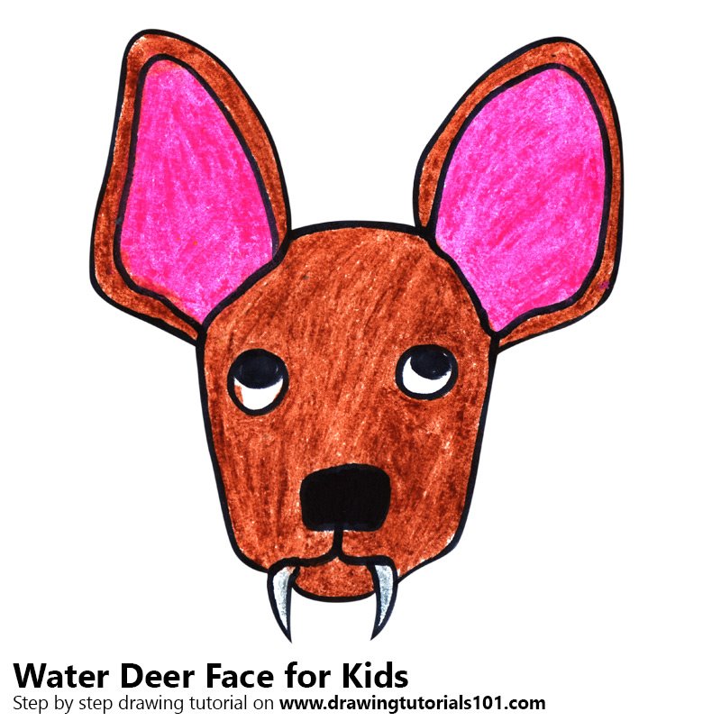 800x800 Learn How To Draw A Water Deer Face For Kids - Deer Face Drawing