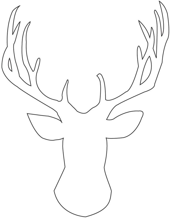 736x929 Reindeer Drawing Free Download - Deer Face Drawing