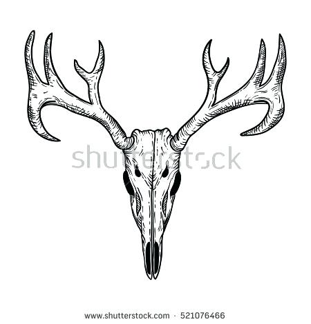 450x470 Deer Outline Embroidery Design Clipart Face Drawing - Deer Face Drawing
