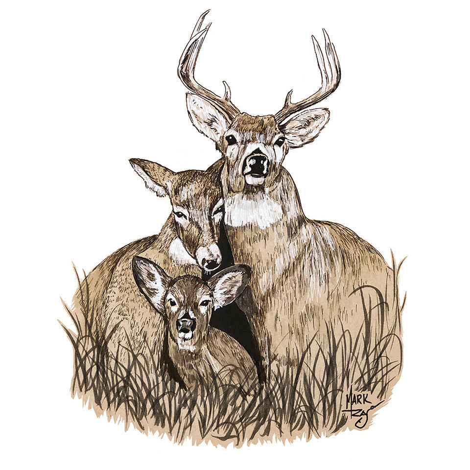 960x960 Deer Family - Deer Family Drawing