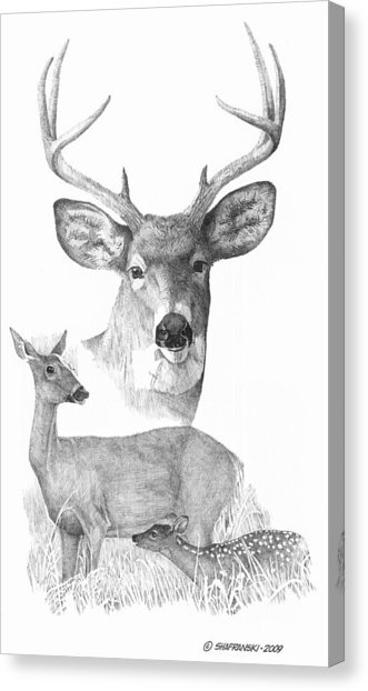 331x622 Deer Family Drawing - Deer Family Drawing