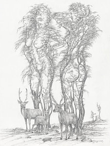 226x300 Deer Family Drawings Fine Art America - Deer Family Drawing