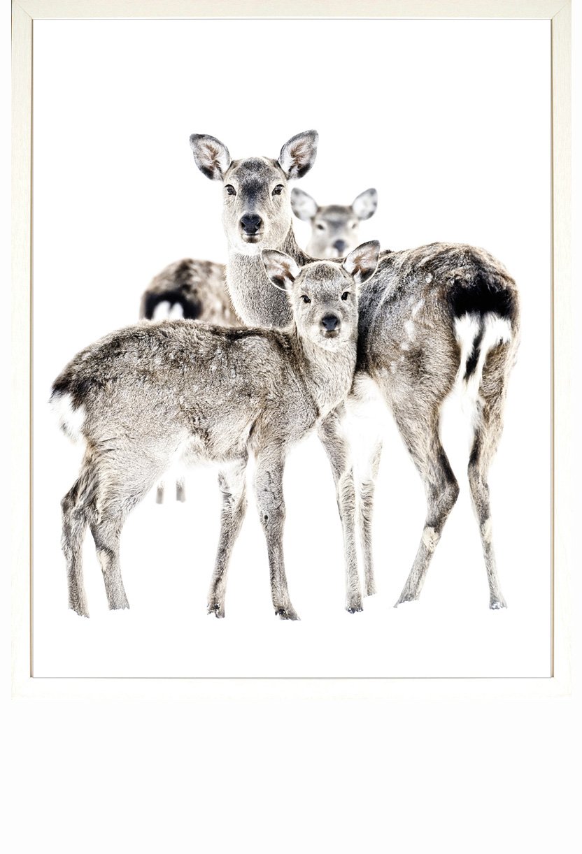832x1222 deer family framed print ld shoppe - Deer Family Drawing