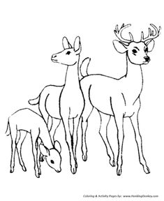 235x288 Best Deer Coloring Pages Images Deer, Coloring Book, Coloring - Deer Family Drawing