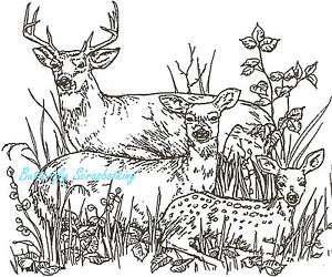 Deer Family Drawing at PaintingValley.com | Explore collection of Deer ...