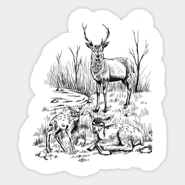 630x630 Deer Family - Deer Family Drawing