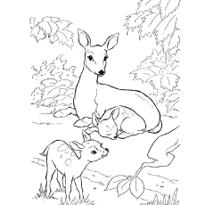 230x230 top deer coloring pages for your little ones - Deer Family Drawing