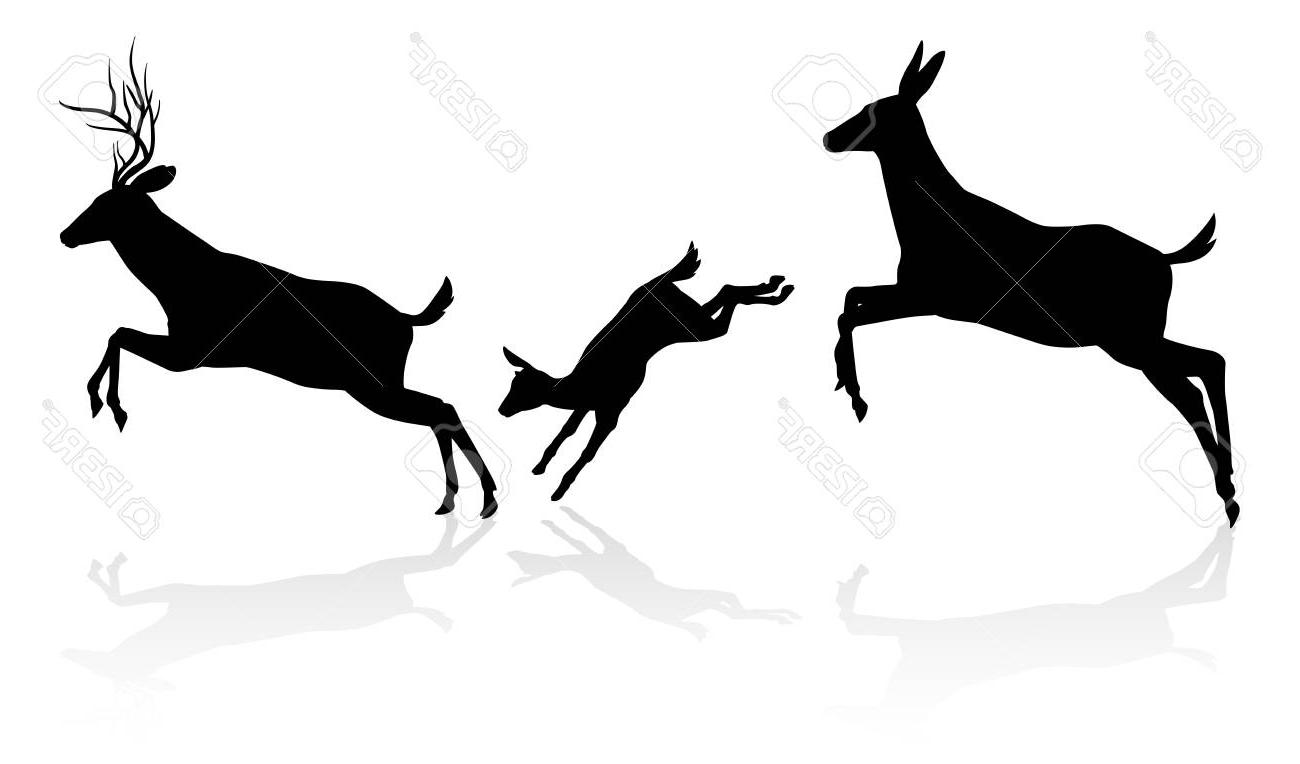 1300x764 Best Deer Family Silhouette Drawing - Deer Family Drawing