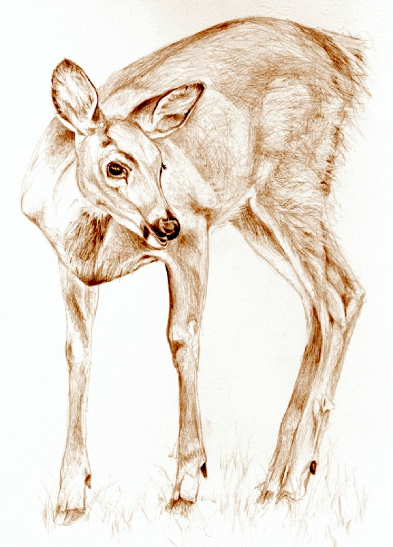 777x1080 art sepia drawing deer in the garden dear etsy - Deer Girl Drawing