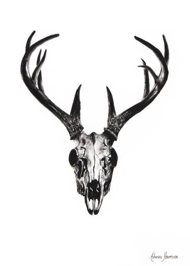 375x525 Deer Skull Drawing - Deer Head Drawing