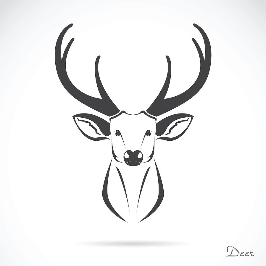 Deer head drawing side view