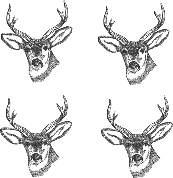 582x600 Deer Head Drawing Outline - Deer Head Drawing Easy