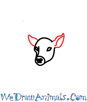300x350 How To Draw A Deer - Deer Head Drawing Easy