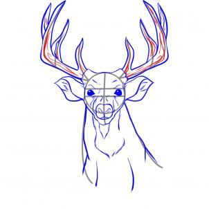 302x302 How To Draw A Realistic Reindeer - Deer Head Drawing Easy