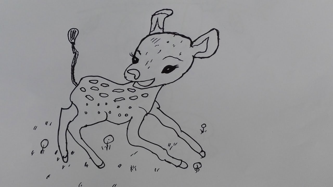 1280x720 how to draw deer draw a deer head step - Deer Head Drawing Easy