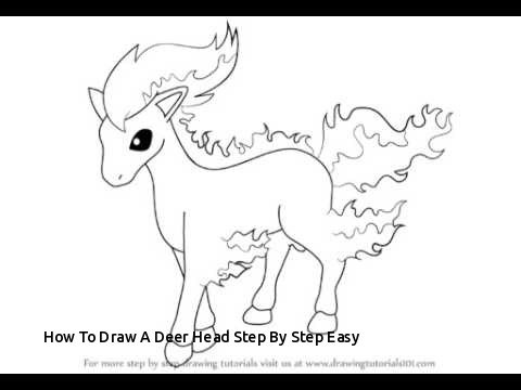 480x360 How To Draw A Deer Head Step - Deer Head Drawing Easy