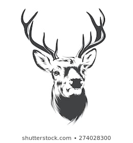 260x280 Huge Collection Of 'buck Head Drawing' Download More Than - Deer Head Drawing Easy